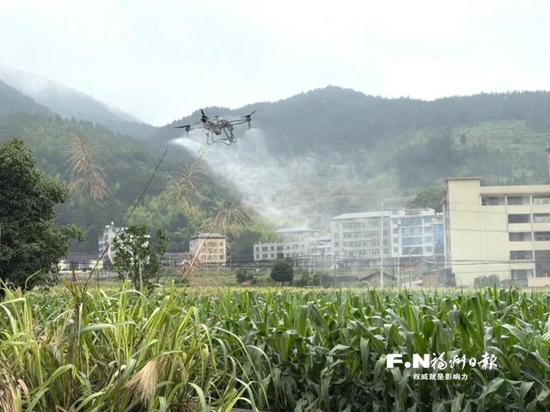 永泰：无人机“飞”出乡村好“钱”景