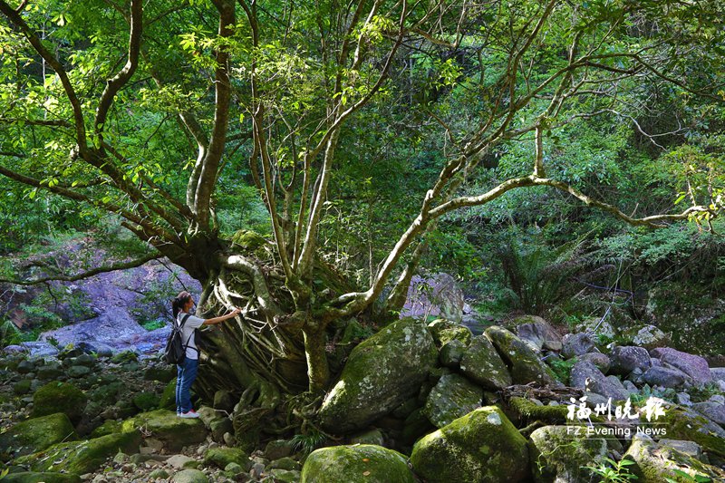 永泰：天然氧吧康养胜地(图1)