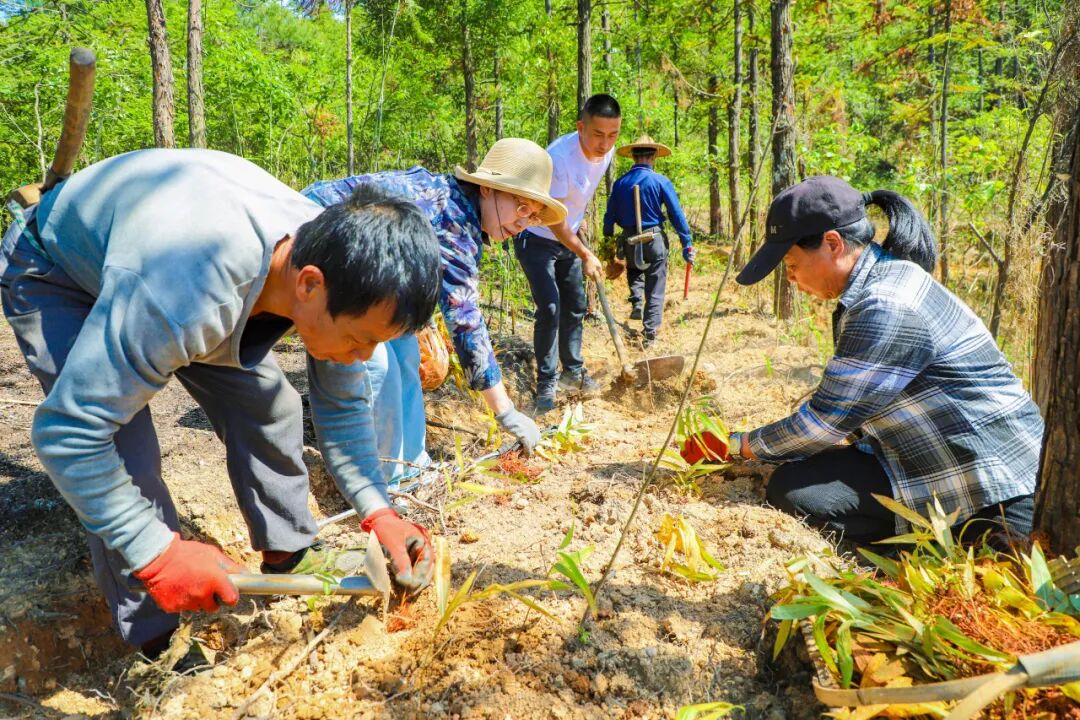 福建这座“云端之城”，如何重新定义“靠山吃山”？