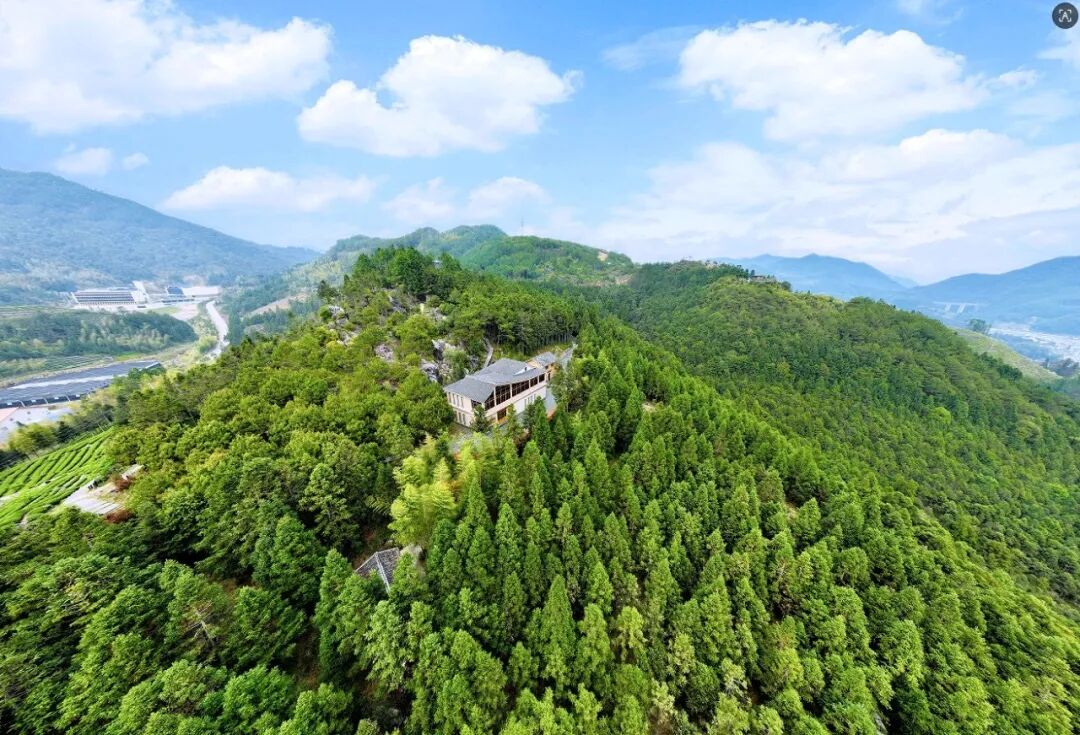 福建这座“云端之城”，如何重新定义“靠山吃山”？