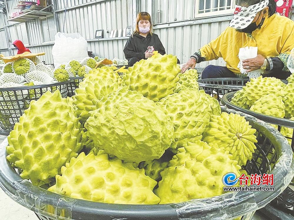 国台办：“统战”主要意涵是“团结” 希望广大台湾同胞勿受民进党当局愚弄、蛊惑