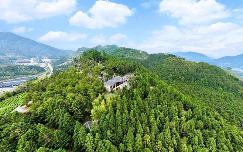黄振芳家庭林场。陈义冰 摄