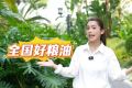地推全城启动！粮洽会惠民福利进公园社区