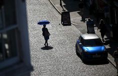 英国6月最高气温纪录连续3天被打破