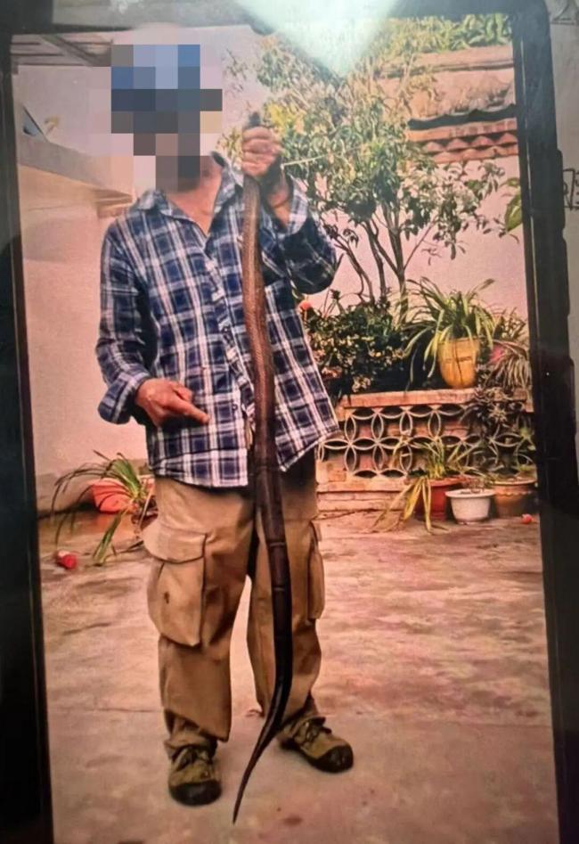 男子徒手抓蛇被咬后淡定合影 西南眼镜蛇神经毒素发作险丧命