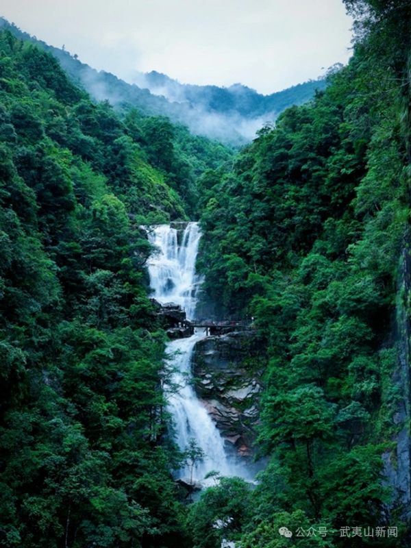 武夷山九曲溪的上游，藏着一处名为“青龙”的瀑布。它并非孤悬一练，而是由三级大瀑衔接而成，全长两百余米，落差一百二十米，最宽处足有四十米。