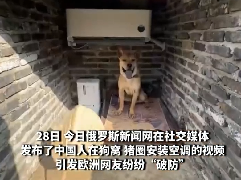 中国农民给猪圈装空调 欧洲网友破防