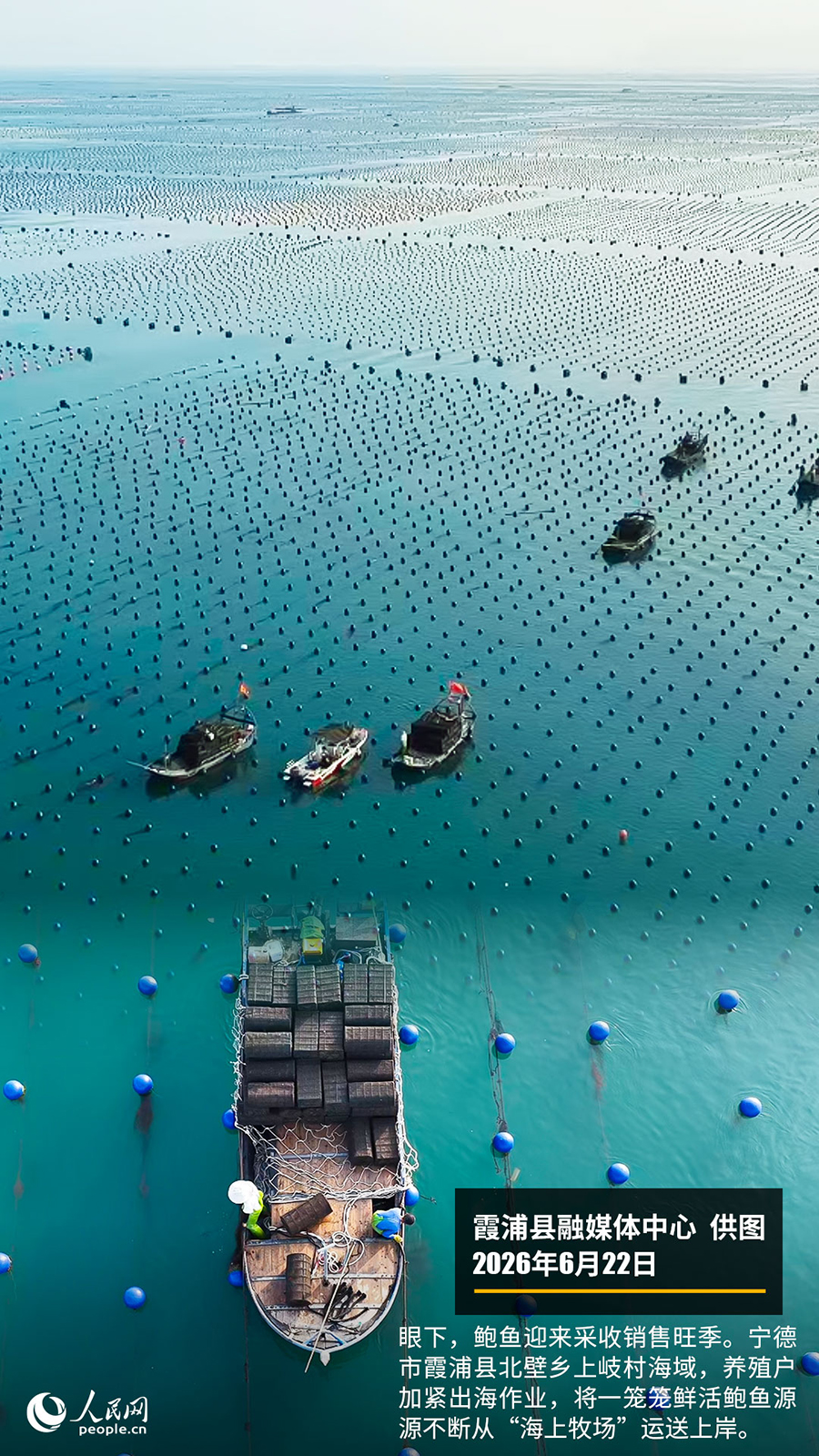 “遇见福建之美”栏目：聚焦福建一周大事记
