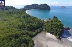 欧盟机构：6月单日全球海面温度破历史同期纪录