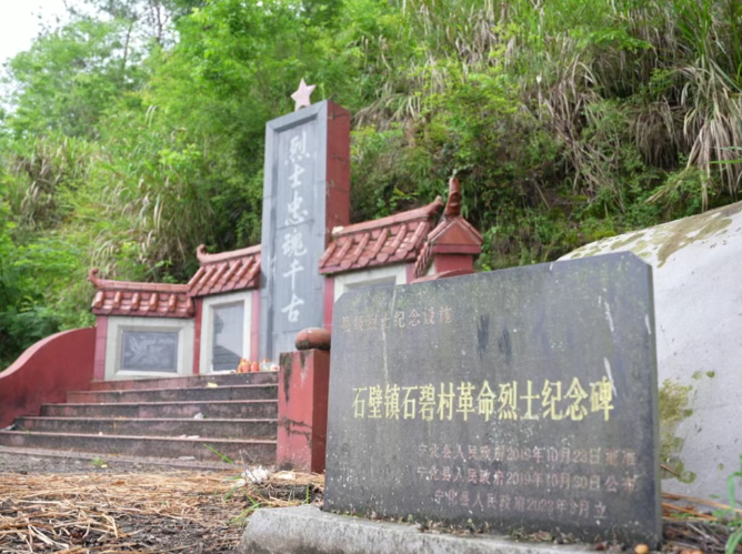 一场跨越时空的奔赴