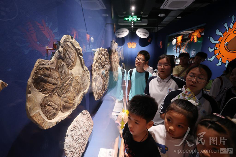 7月5日，小朋友和家长在厦门科技馆“嗨，海怪”展馆参观“海怪”化石。