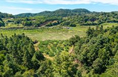 又香又脆！福州这对“甜蜜CP”藏不住了→