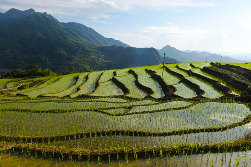 念山梯田（余长青 摄）