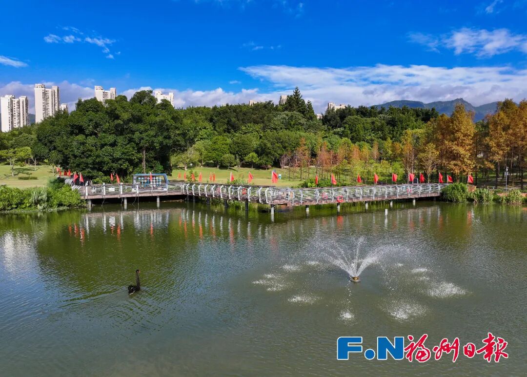 牛岗山公园绿意盎然 包华 (17250089)-20260707191122.jpg