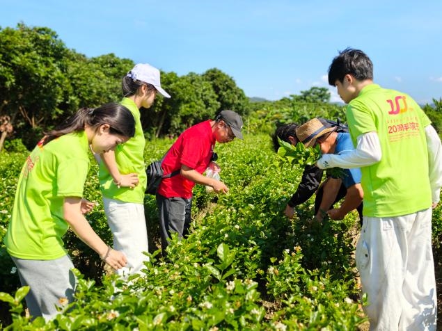 实践队师生深入祥谦镇新垱岛茉莉花种植基地,实地察看茉莉花长势