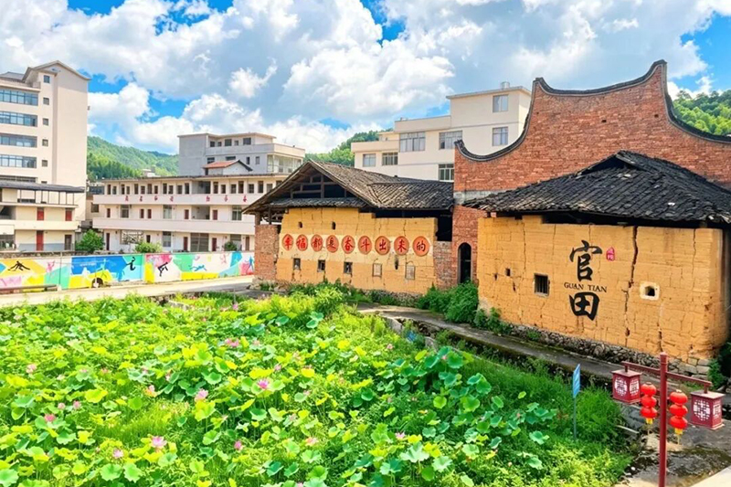 一池碧叶，粉荷点点，或含羞待放，或恣意舒展。刘爱萍 摄