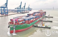 上半年泉州外贸集装箱吞吐量比增37.97%