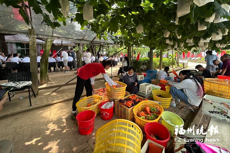 福州首次将专题询问会场&ldquo;搬&rdquo;到乡村一线 葡萄藤下问振兴