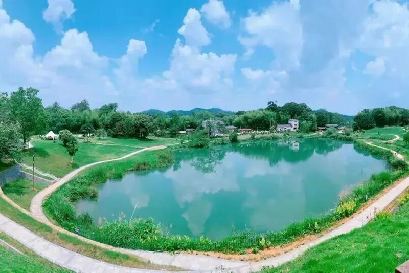 傍晚｜入住蛟湖，邂逅夏夜萤火虫