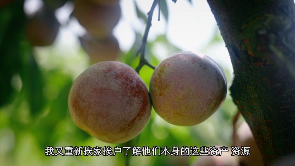 新华社点赞福州“90后”村支书：青春赴山海 归乡筑芳华
