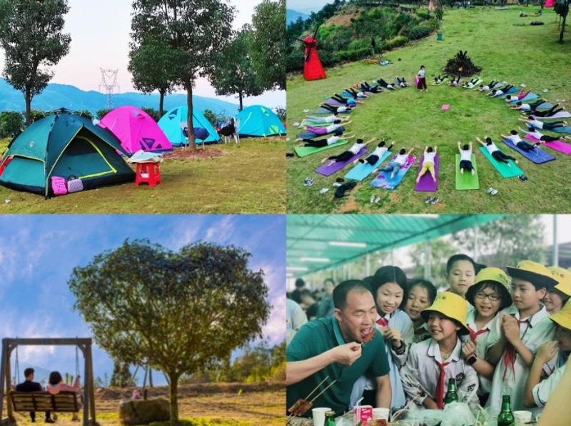 城郊乡金家洋百花村依山伴绿、花开四季，超大平整草坪开阔舒适，绿树繁花环绕，空气清新、风光旖旎，是夏日户外野炊、团建出游的宝藏地。