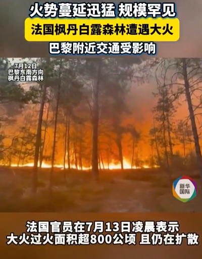 法国枫丹白露森林遭遇大火，火势“规模罕见”