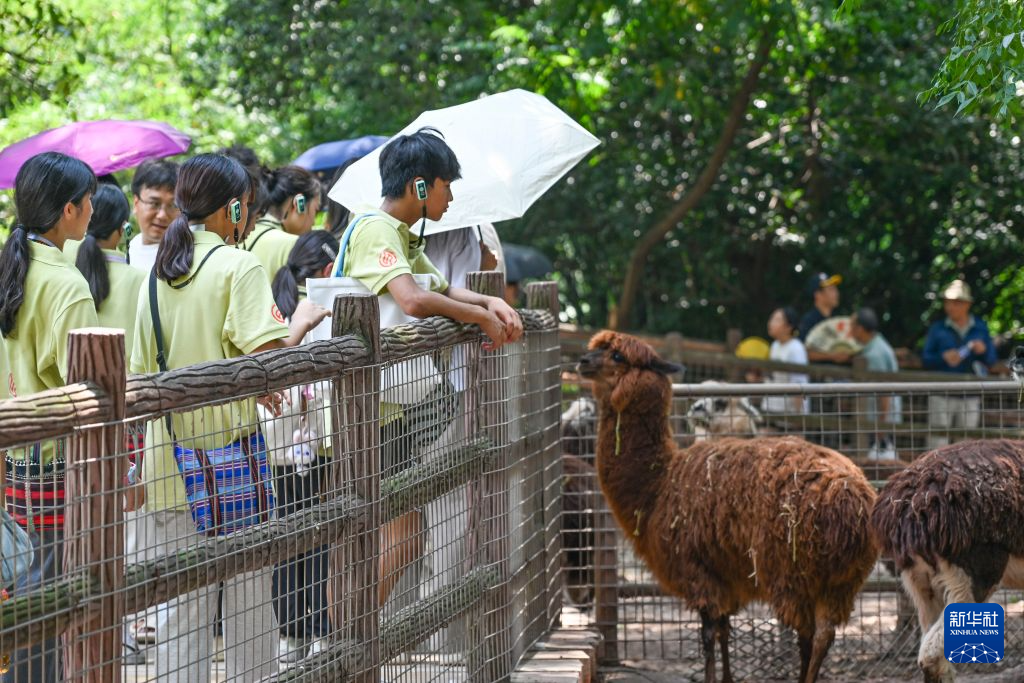 40名两岸青少年在重庆探索自然与科技
