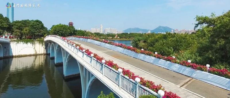 空明桥。林斌享 摄