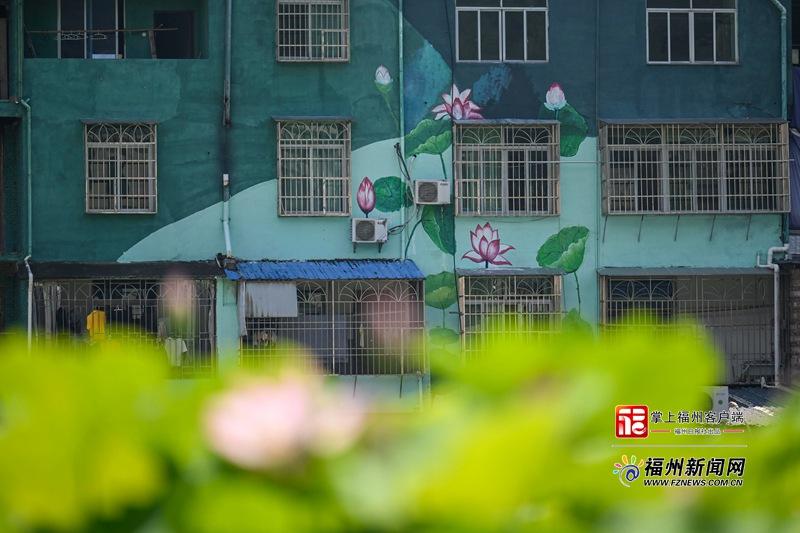 荷塘与一旁的百年古寨遥相呼应，青砖黛瓦映衬着满池芳华，引来众多游客驻足拍照。