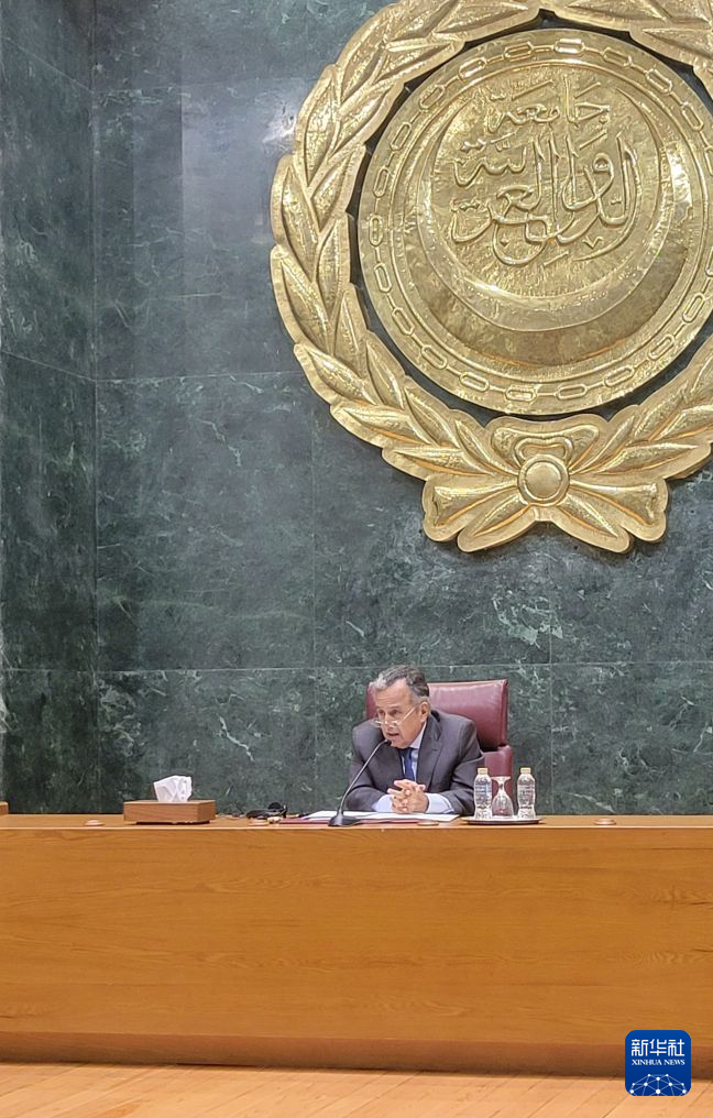 阿盟秘书长强调维护阿拉伯国家主权和推进改革