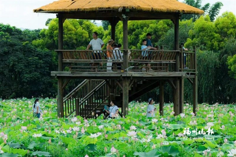 别错过！闽侯溪源村夏日有胜景