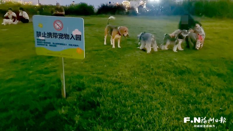 福州城市养犬管理条例迎来首次执法检查 福州城市养犬管理条例迎来首次执法检查
