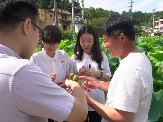实践队在罗峰村调研农民合作社运行情况