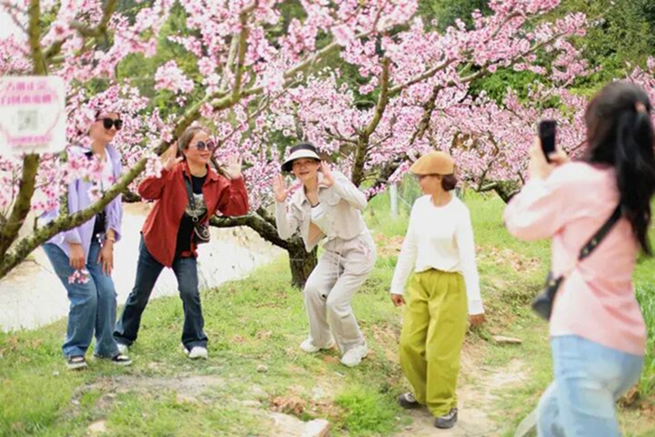 游客在桃林赏花拍照打卡。蒋炜煌 摄