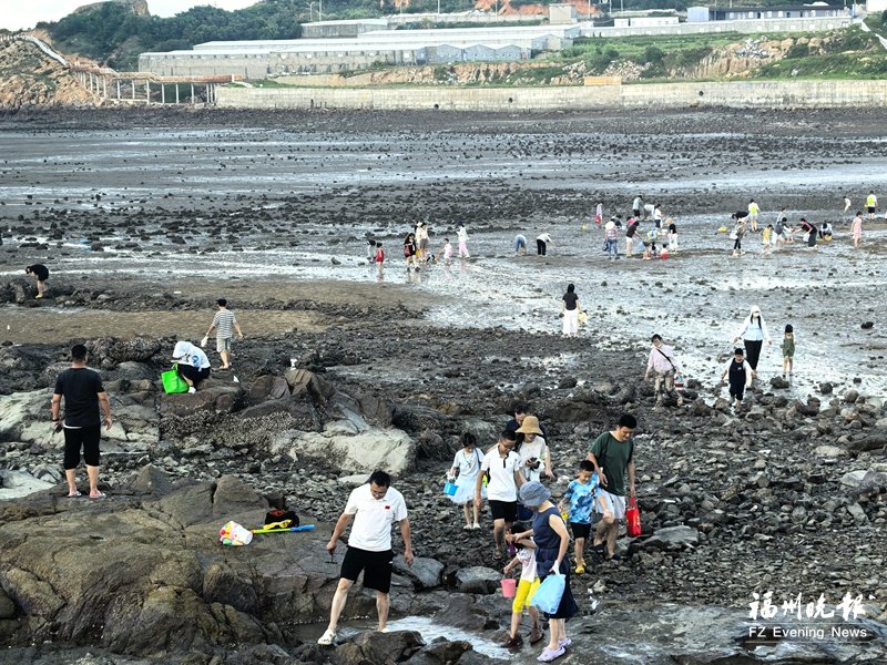 福清三山镇赶海季开幕 感受三山独特滨海魅力
