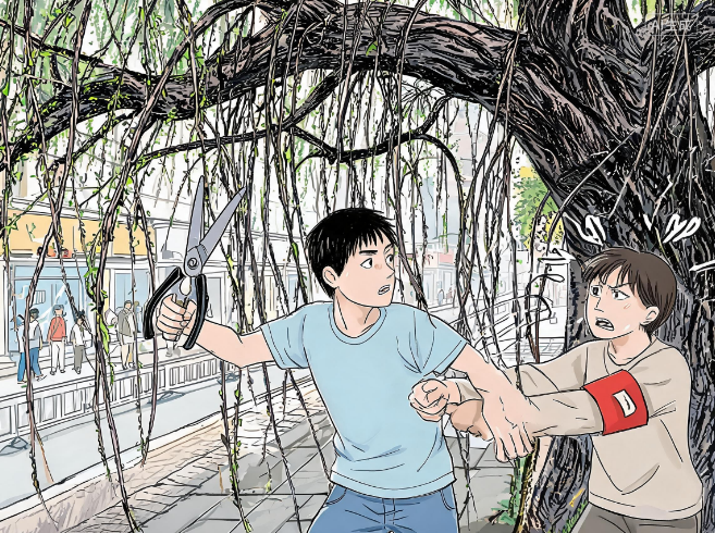 古树枝条遮视线 市民欲剪被制止
