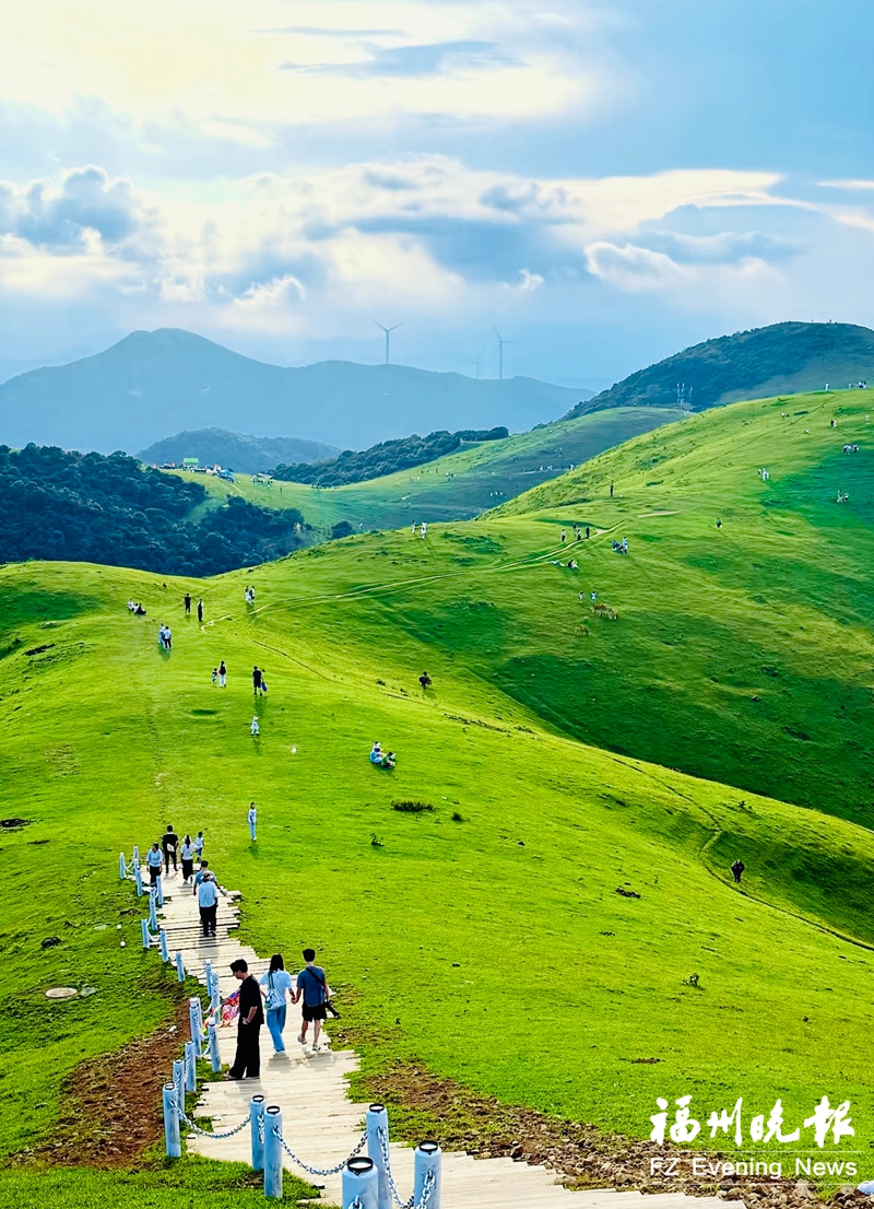 福清大姆山高山草场吸引游客观光。记者 林双伟 摄