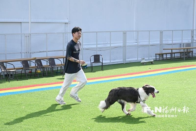《福州市城市养犬管理条例》首次执法检查见闻