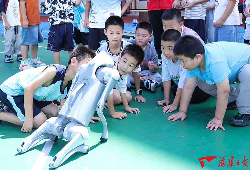 7月15日，松溪县总工会邀请南平市航空运动协会、松溪县科协走进暑托班，开展趣味科技科普活动。图为学生们近距离观摩智能机器狗，直观感受人工智能科技魅力。林珊 摄