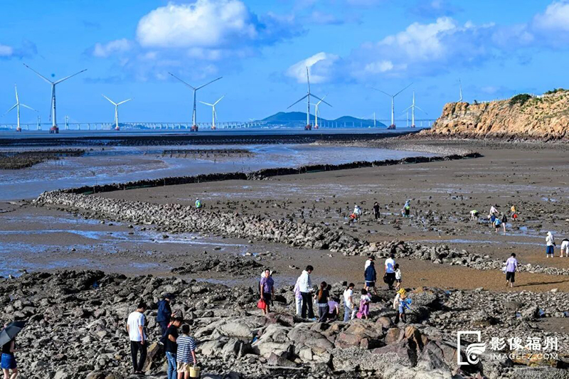 市民们在沙滩上赶海。记者 池远 摄
