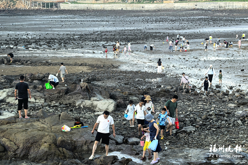游客在福清三山镇赶海。记者 池远 摄