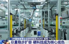 截至去年末中国独角兽企业达376家 总量稳步扩容