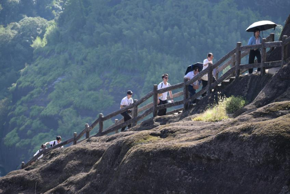 海峡两岸中医药传统文化研习营深耕武夷山水体悟文脉茶韵