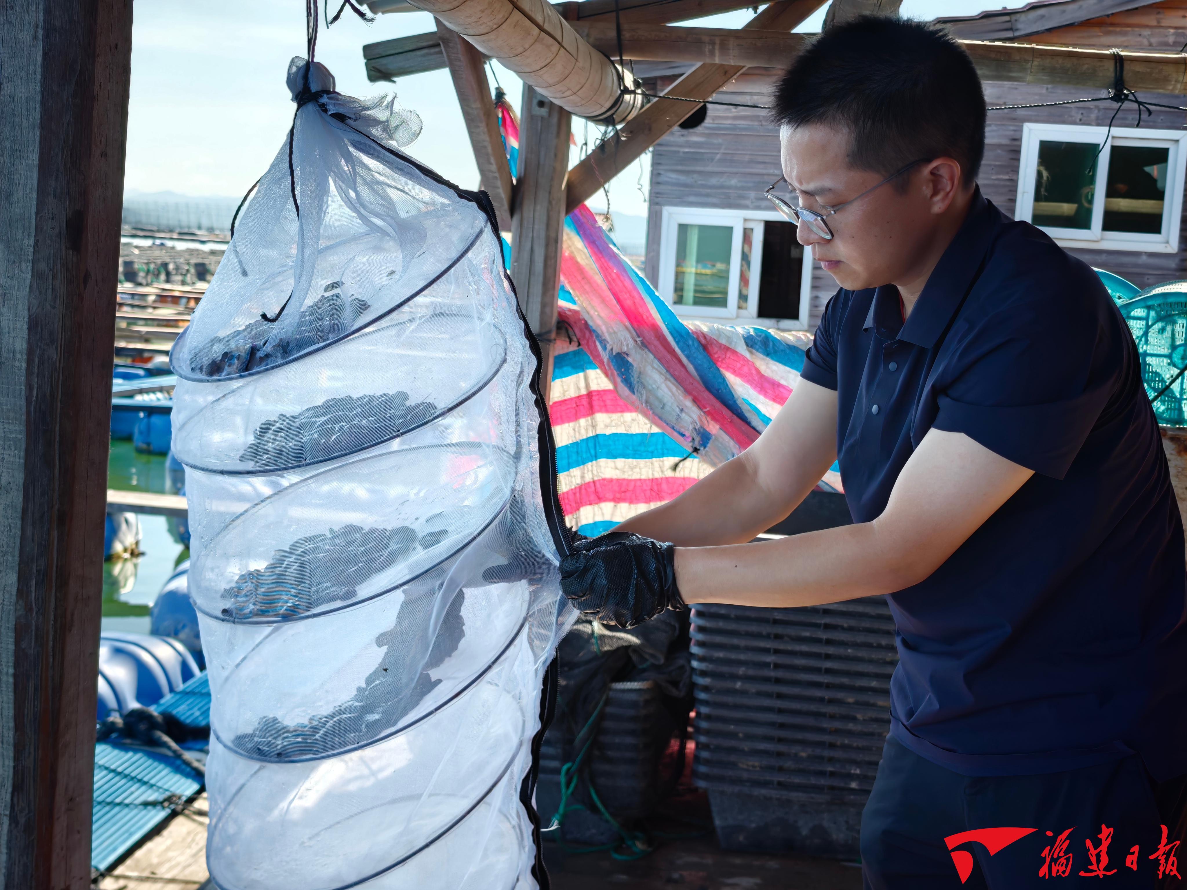 深读|打赢海参种业翻身仗