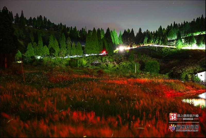 福州闽侯县大湖乡雪峰郊野湿地，青草浅溪间萤火点点穿梭，山影与星轨交织成景。记者 池远 摄