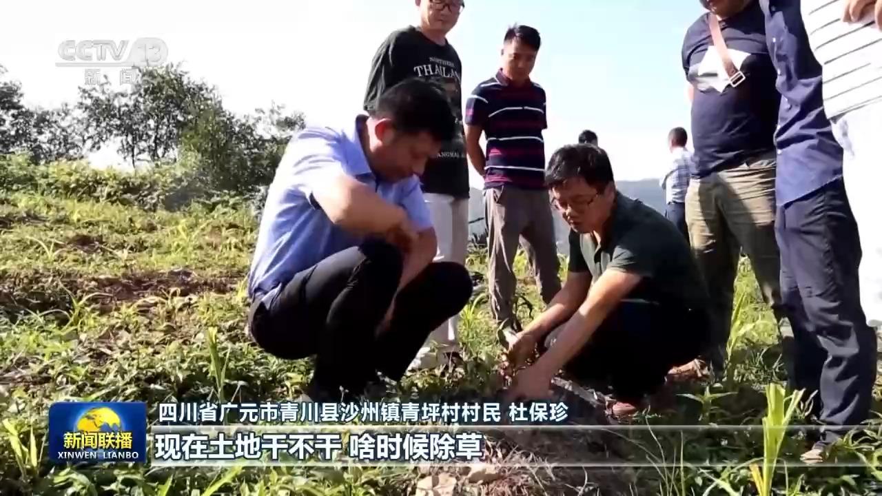 新思想引领新征程丨东西部协作 推动共同富裕迈出坚实步伐