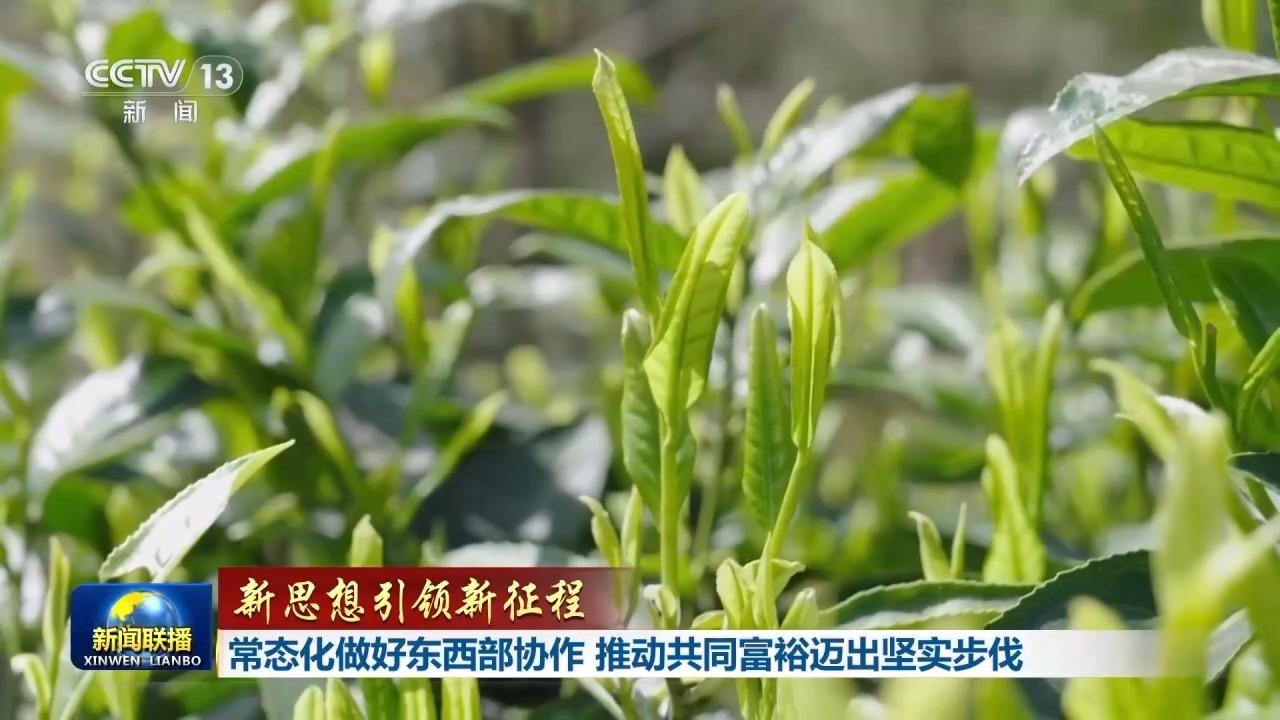 新思想引领新征程丨东西部协作 推动共同富裕迈出坚实步伐