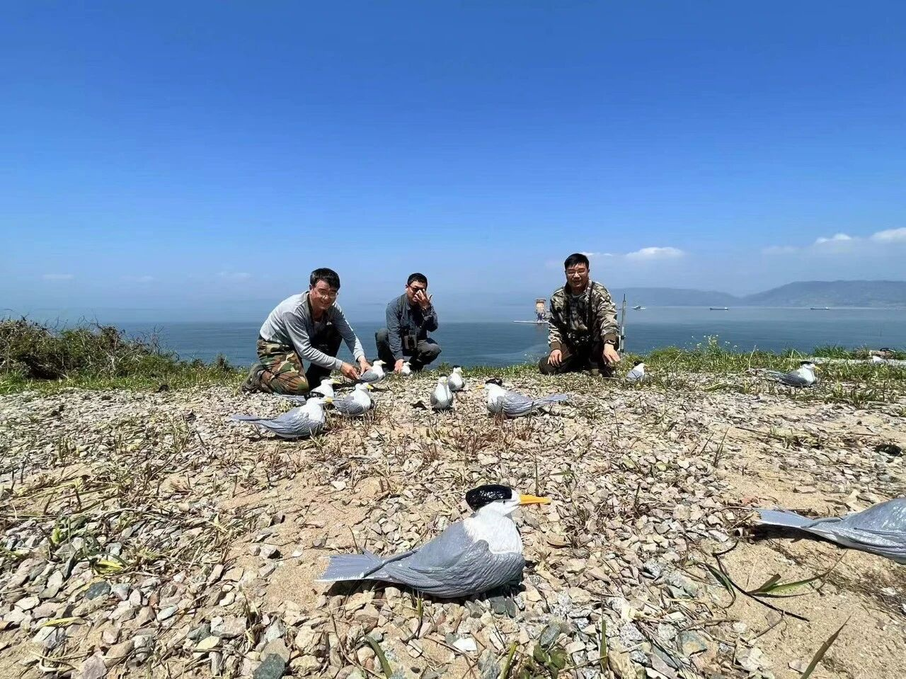 在福建，海岛的“脸”偷偷在改变