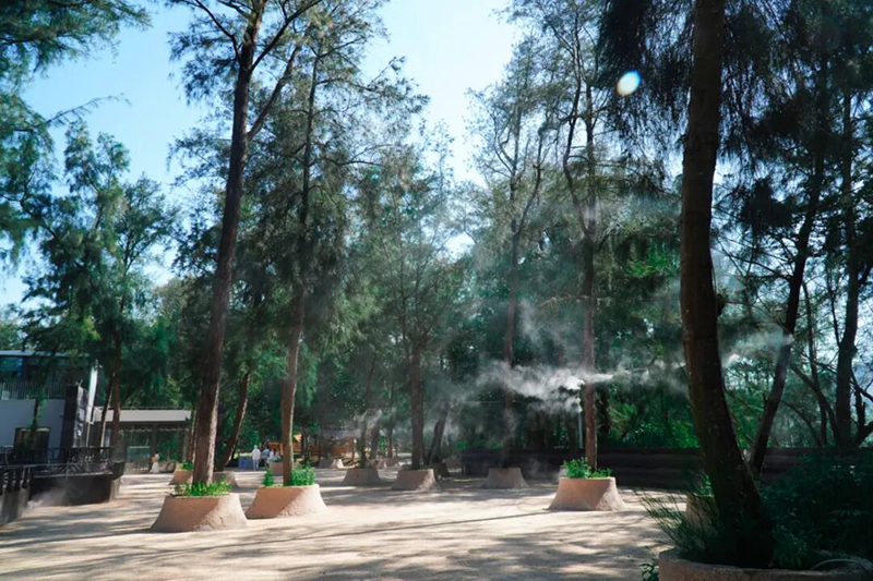整片营地被成片苍翠木麻黄包裹，林间雾森缓缓飘散，行走其间清爽凉快，瞬间隔绝盛夏燥热。