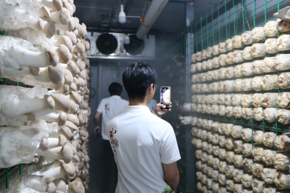 微信图片_2026-07-21_193334_787